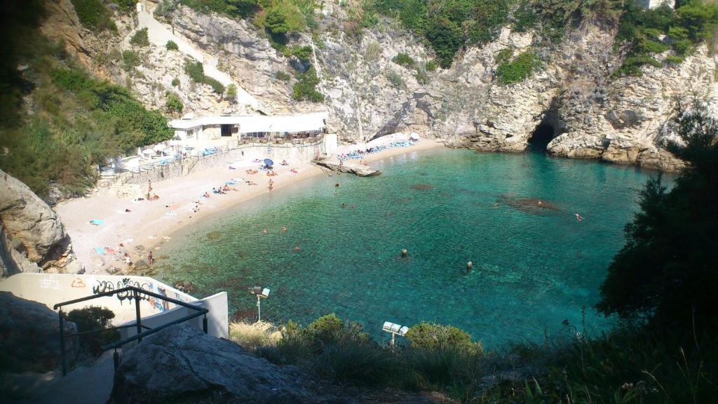Topolo Apartament *