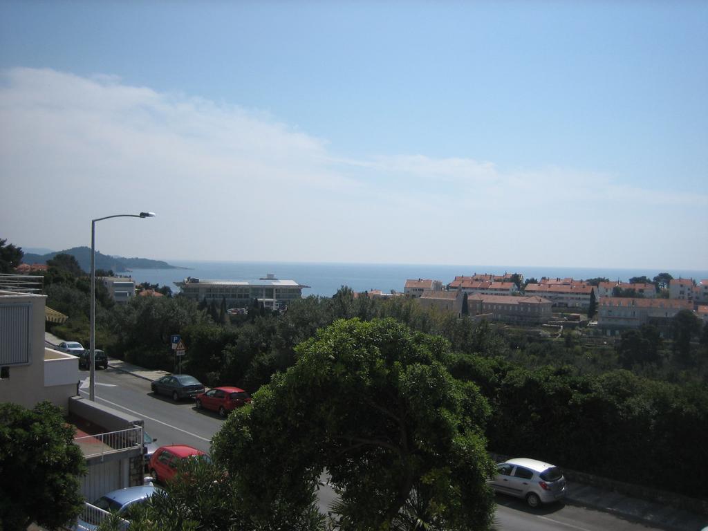Apartament Topolo *